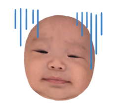 446066929