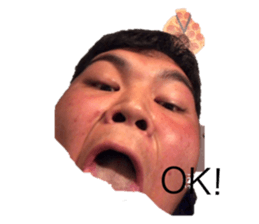 446075312