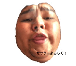 446075313