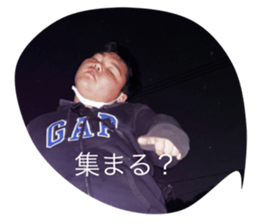 446075316