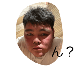 446075317