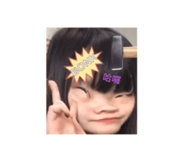 446078374
