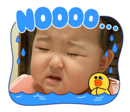 446078457