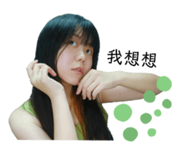 446079063