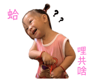 446079898