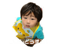 446081273