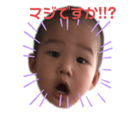 446082791