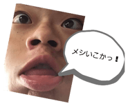 446090204