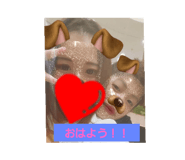 446103004