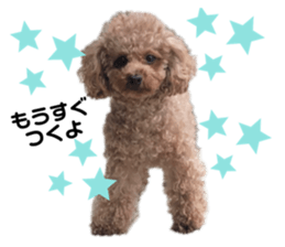 446104916