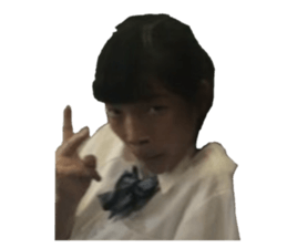 446111507