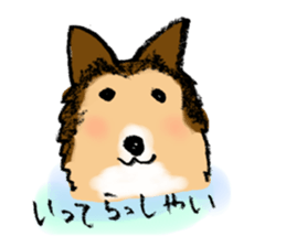 4461255