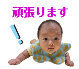 446237558
