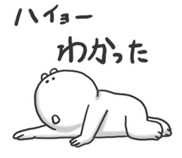 4462554
