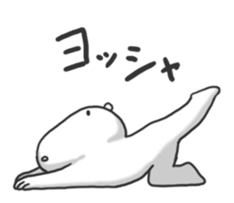 4462558