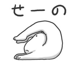 4462559