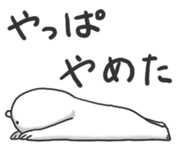 4462564