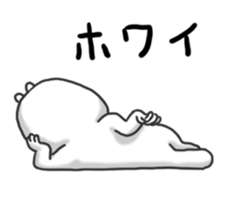 4462581