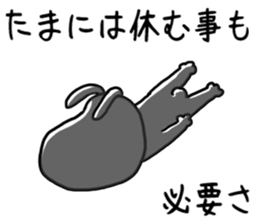4462674