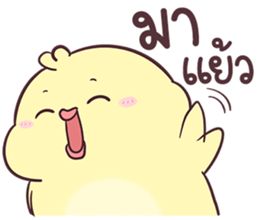 446302219