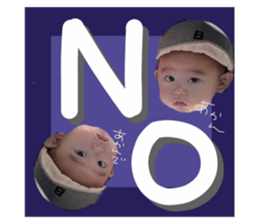 446315480