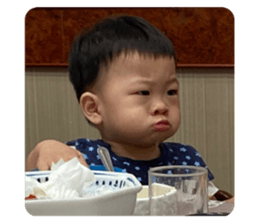 446324647