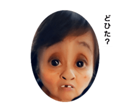 446339981