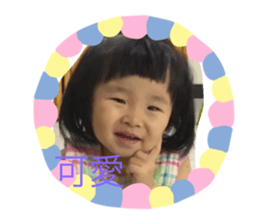 446342615