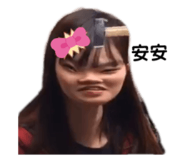 446343883