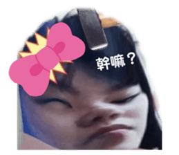 446343885