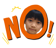 446348080