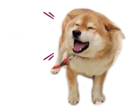 446350470