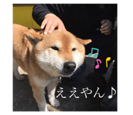 446350480