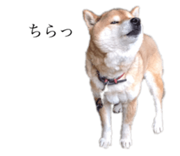446350486