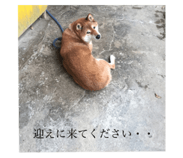 446350493