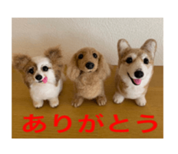 446358034