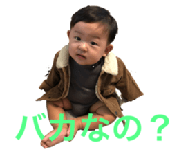 446373082
