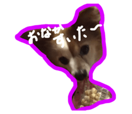446373347