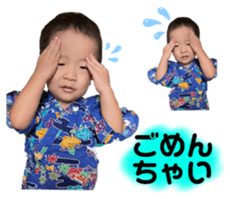 446423570