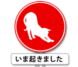 4464318