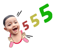 446477595