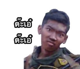 446488376
