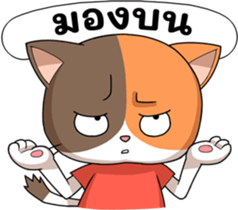 446491365