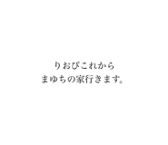 446505154