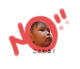 446509625