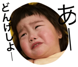 44656508