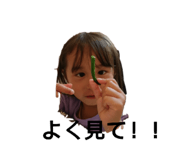 446584586