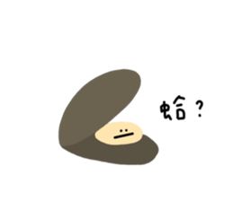 446586039
