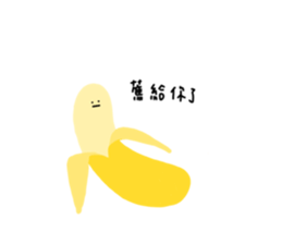 446586064