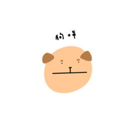 446586074